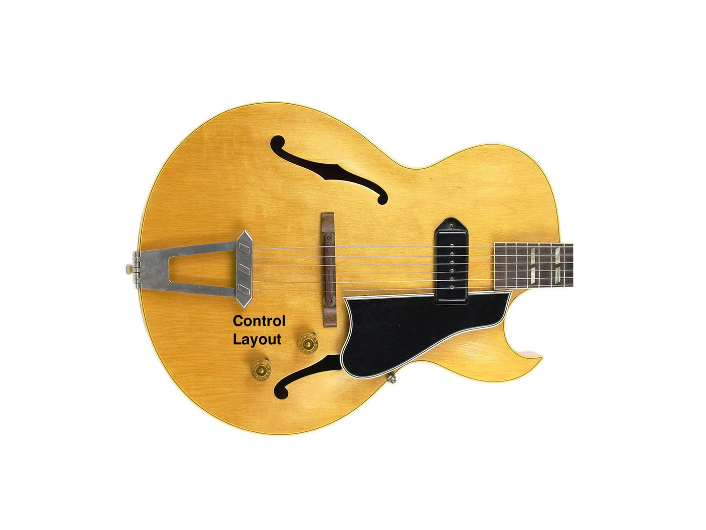 Hollow Body Premium Series 2 Controls Single Pickup PIO Tone Cap